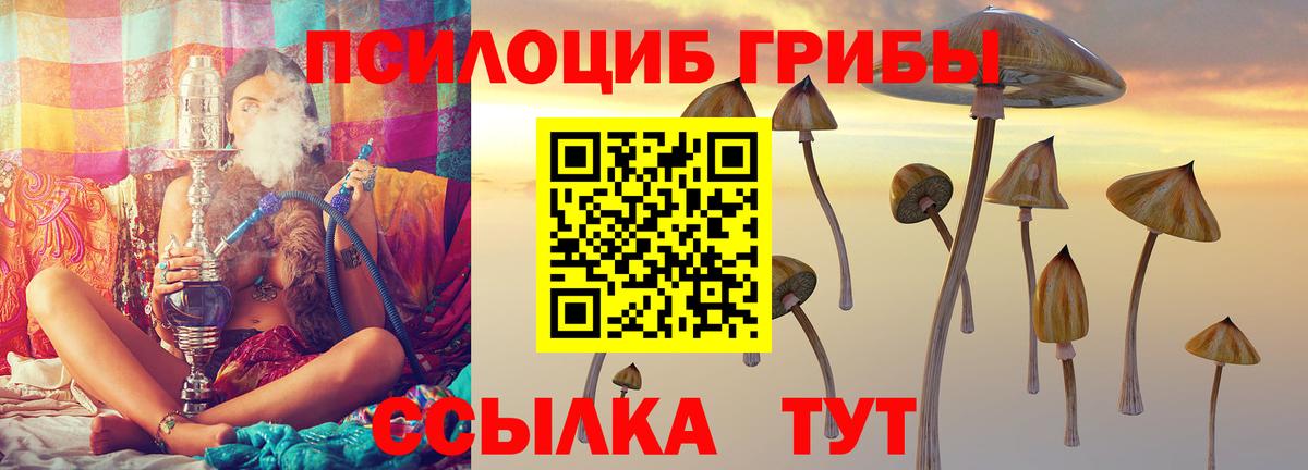 Псилоцибиновые грибы прущие грибы Димитровград