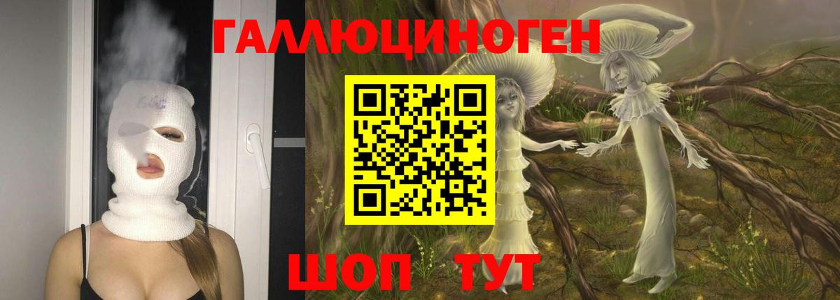 Димитровград  Псилоцибиновые грибы мухоморы  Вход с VPN 